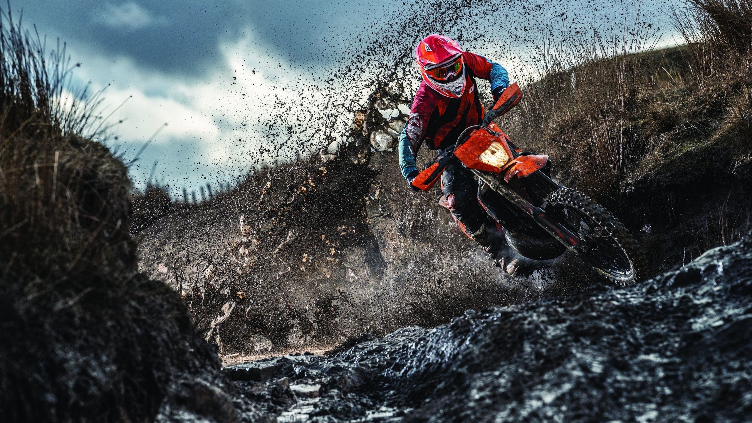 世界杯组委会发布最新防疫指南 场内场外高标准防控